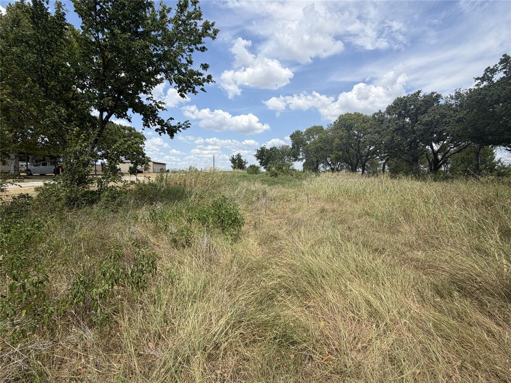 Tbd Upper Montague Road Bowie, TX 76230 - Photo 7 of 9 Expansive land featuring natural grasses and mature trees
