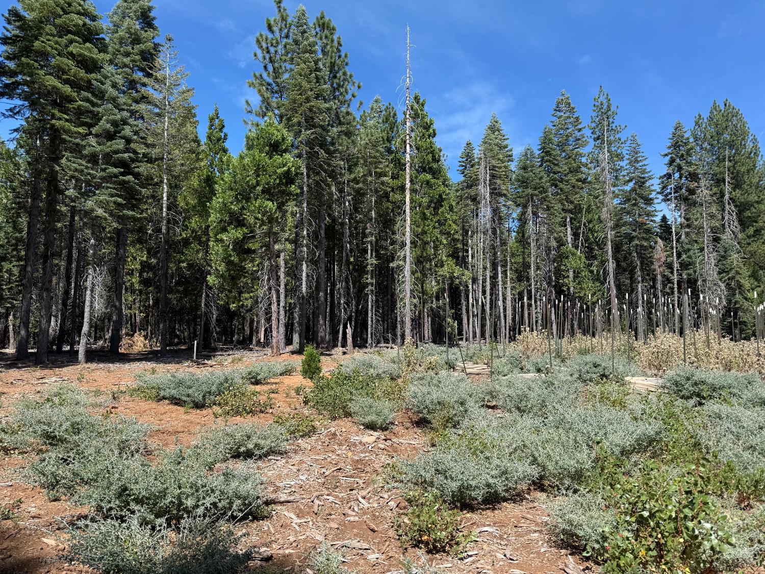 15379 Robbins Ranch Road Nevada City, CA 95959 - Photo 1 of 12 Gallery Image 1