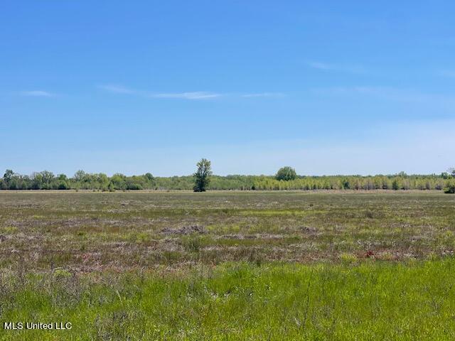 South Lake Road Sledge, MS 38670 - Photo 10 of 20 IMG_2605