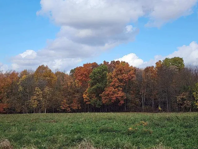 $48,500 | 0 East Mill Street, Hastings, MI 49058