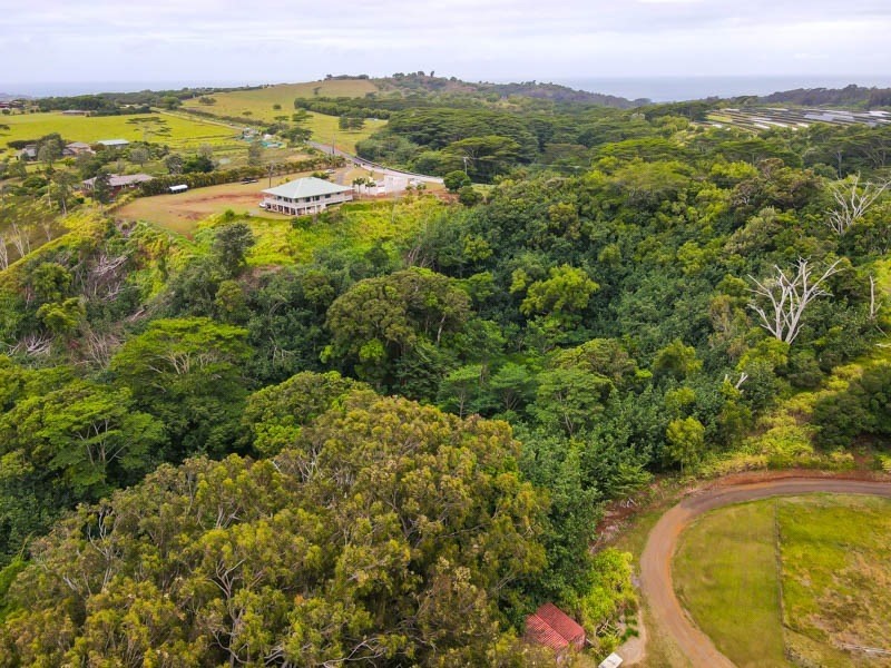 37 Omao Road Koloa, HI 96756 - Photo 9 of 29