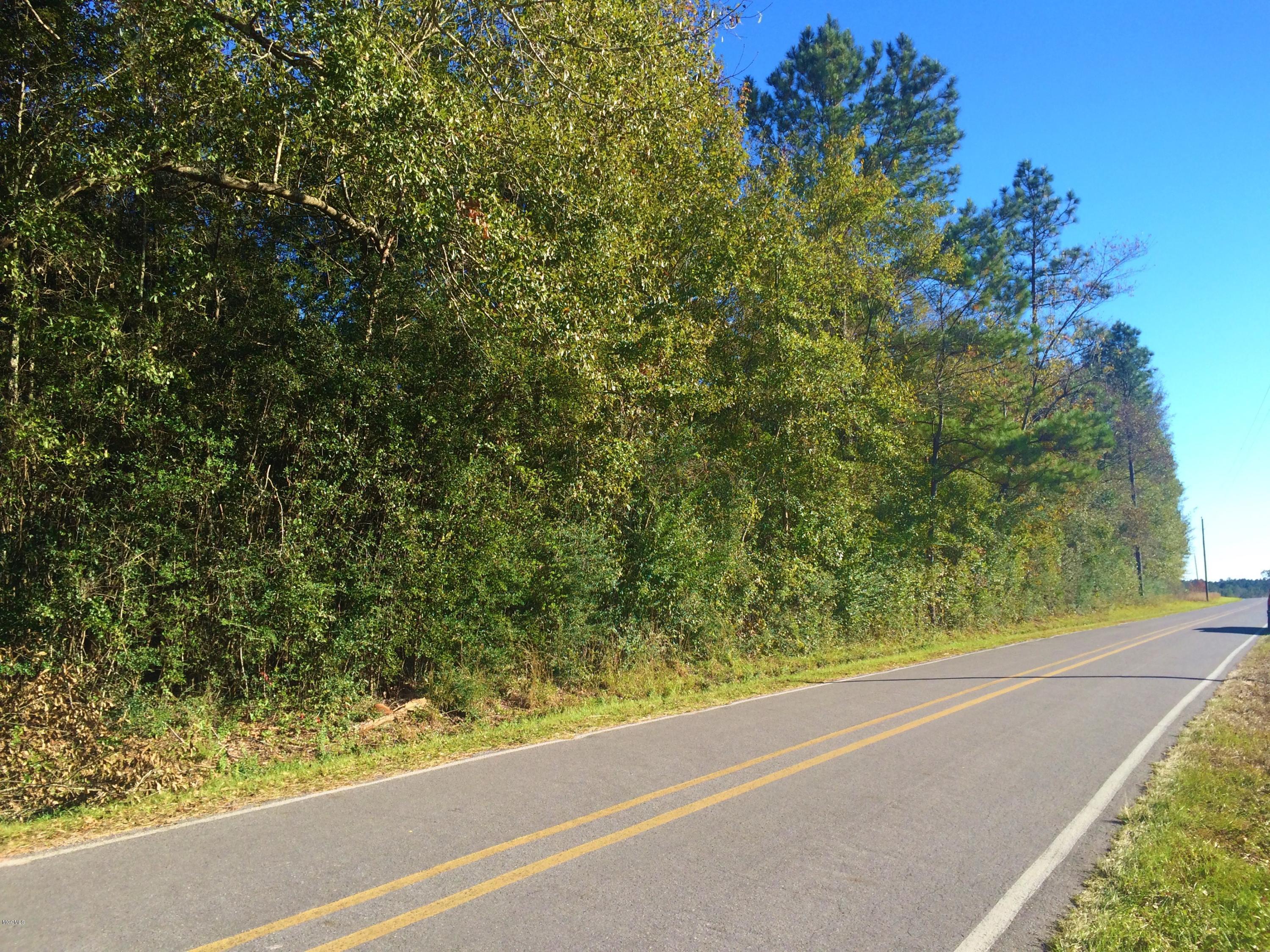 Lot 1 Flint Creek Road Wiggins, MS 39577 - Photo 8 of 14 IMG_3640