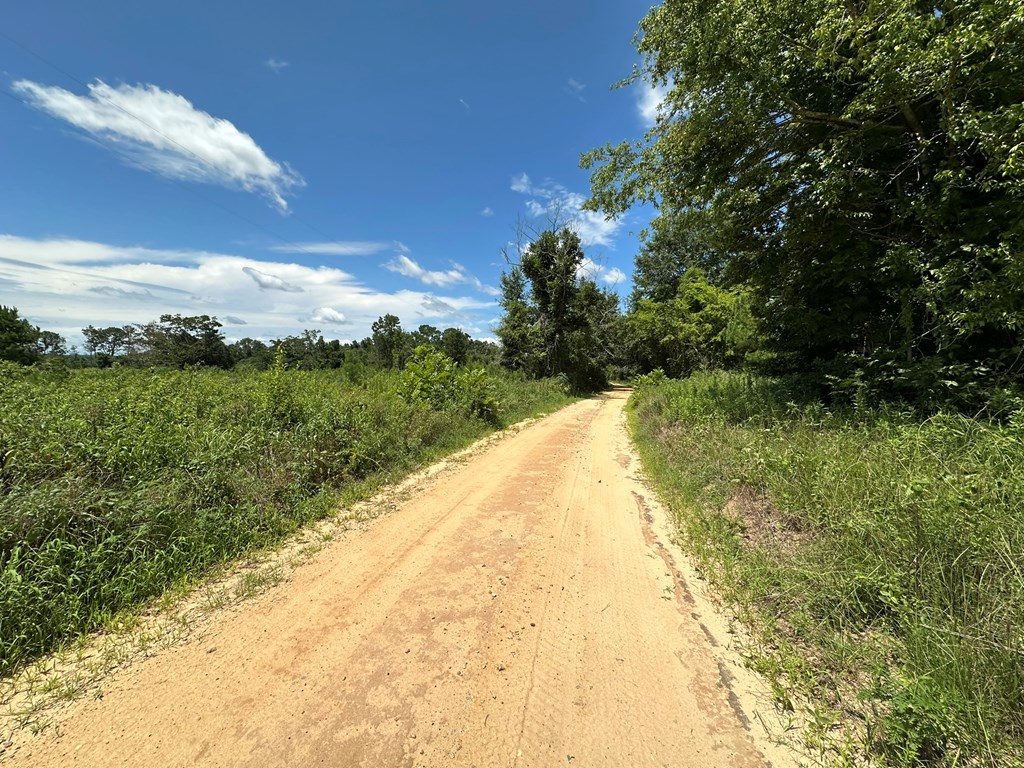250 Adams Mill Road Clayton, AL 36016 - Photo 22 of 74
