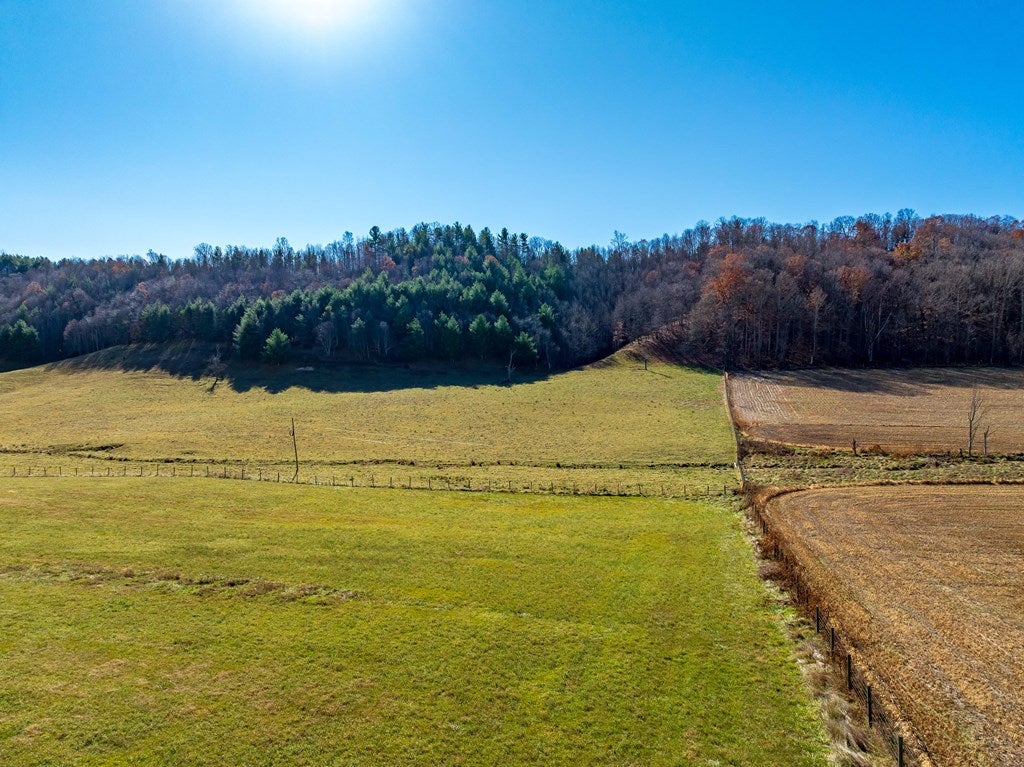Tbd Gap Of Ridge Road Rural Retreat, VA 24368 - Photo 27 of 85 Gallery Image 27