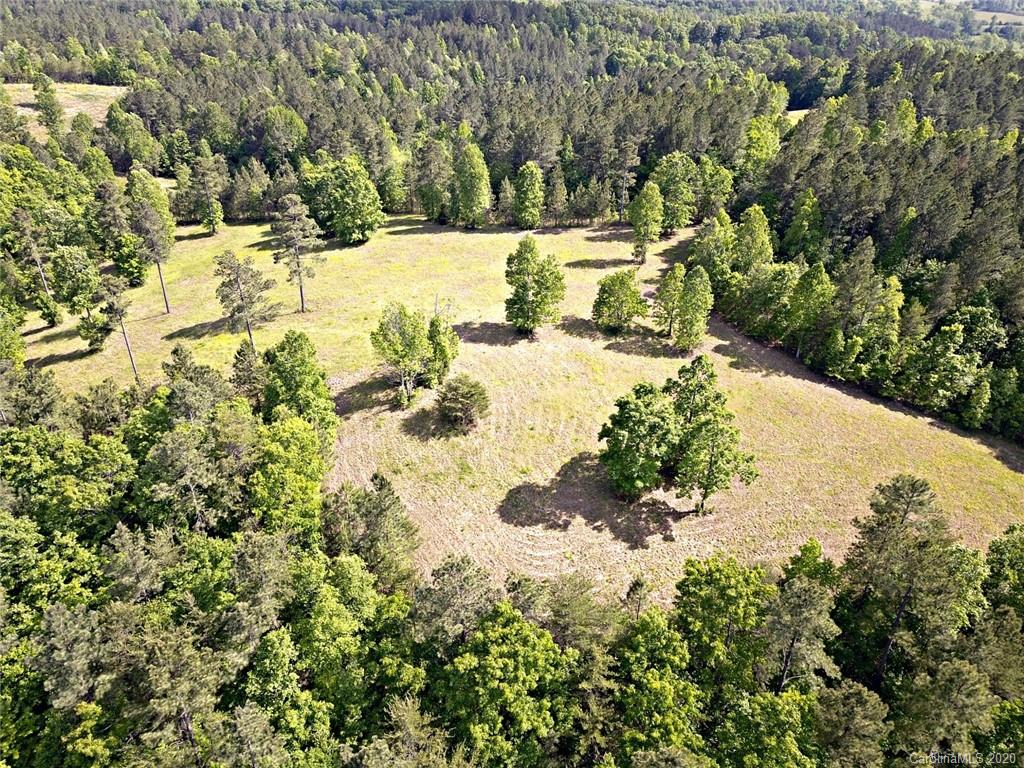 # Northeast Polk County Line Road East, Unit 5 Rutherfordton, NC 28139 - Photo 6 of 10 a view of a yard with large trees