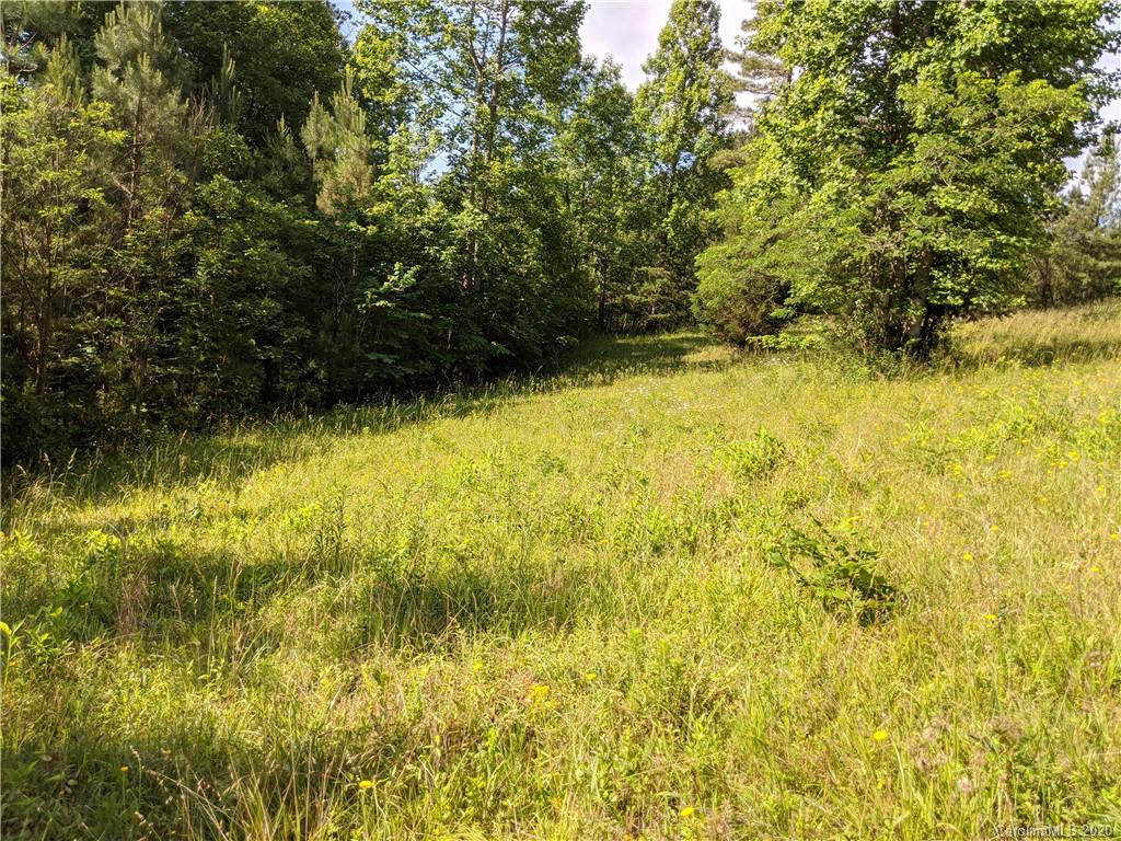 # Northeast Polk County Line Road East, Unit 5 Rutherfordton, NC 28139 - Photo 7 of 10 a view of yard with swimming pool