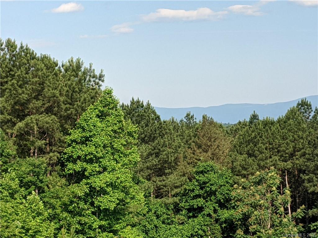 # Northeast Polk County Line Road East, Unit 5 Rutherfordton, NC 28139 - Photo 8 of 10 an aerial view of a house with a yard