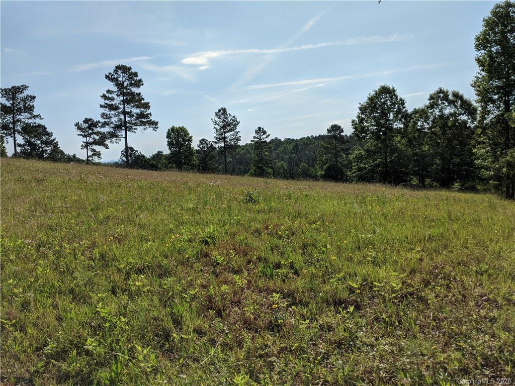 # Northeast Polk County Line Road East, Unit 5 Rutherfordton, NC 28139 - Photo 9 of 10 a view of outdoor space and yard