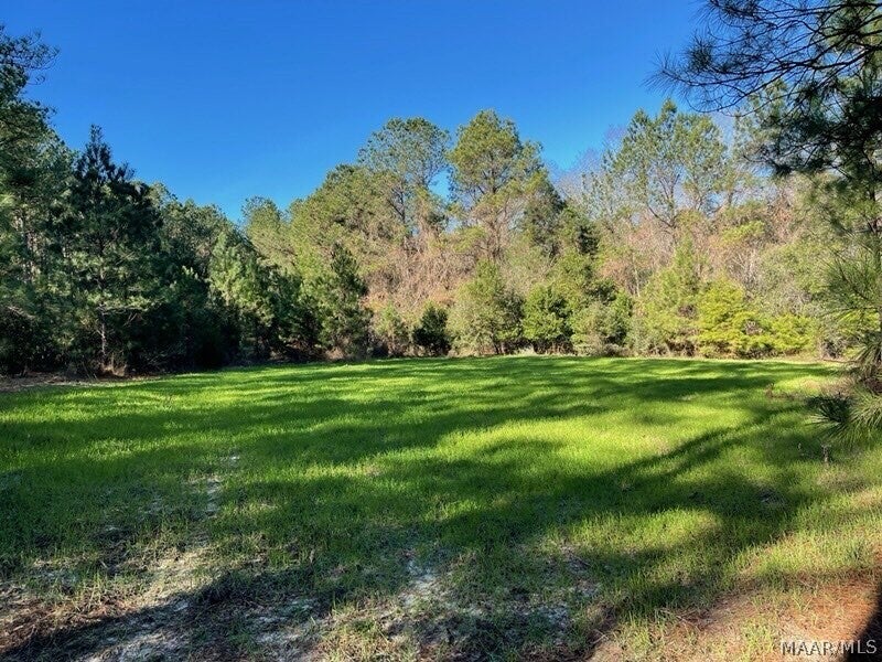0 Hesters Store Road Red Level, AL 36474 - Photo 4 of 12 Gallery Image 4