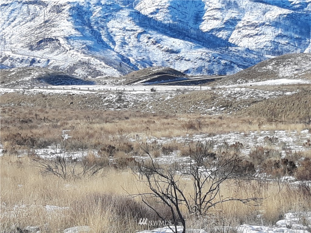 4 Bill Shaw Road Pateros, WA 98846 - Photo 7 of 9