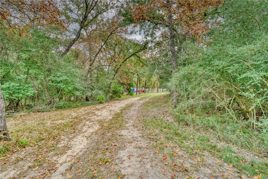 10232 Riley Green Road Franklin, TX 77856 - Photo 7 of 40 View of dirt / gravel road featuring a wooded view