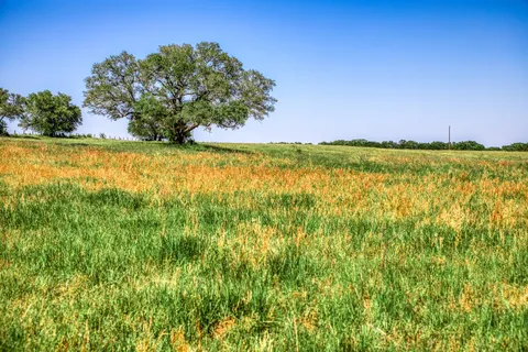 $1,600,000 | 8101 West Parkison Lane West, Brenham, TX 77833