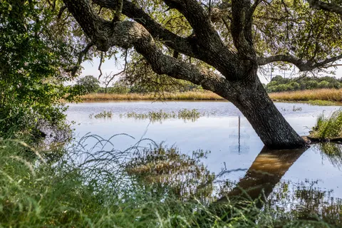 $1,600,000 | 8101 West Parkison Lane West, Brenham, TX 77833