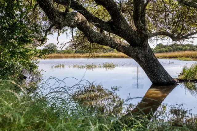 $1,600,000 | 8101 West Parkison Lane West, Brenham, TX 77833