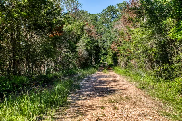 $1,600,000 | 8101 West Parkison Lane West, Brenham, TX 77833