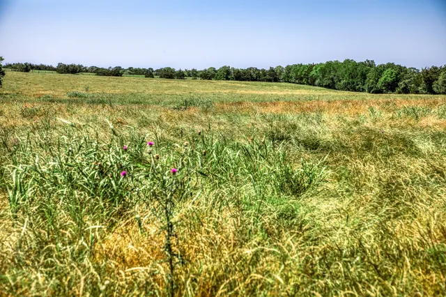 $1,600,000 | 8101 West Parkison Lane West, Brenham, TX 77833