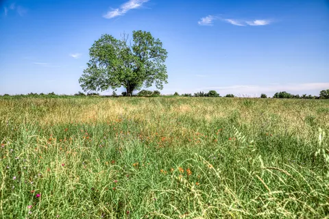 $1,600,000 | 8101 West Parkison Lane West, Brenham, TX 77833