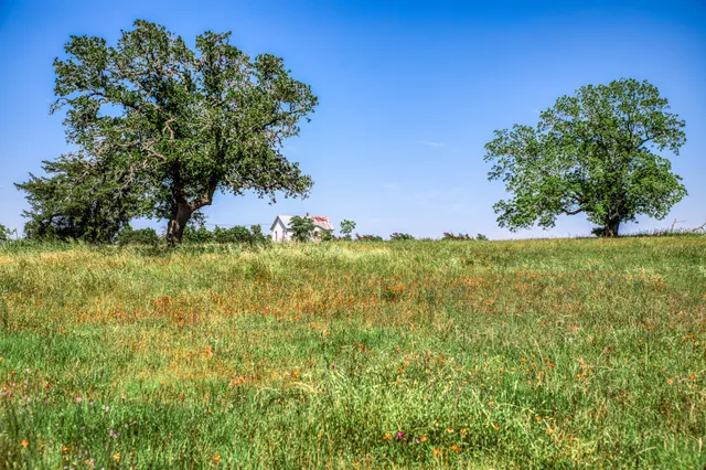 $1,600,000 | 8101 West Parkison Lane West, Brenham, TX 77833