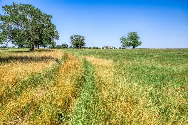 $1,600,000 | 8101 West Parkison Lane West, Brenham, TX 77833