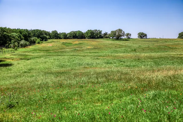 $1,600,000 | 8101 West Parkison Lane West, Brenham, TX 77833