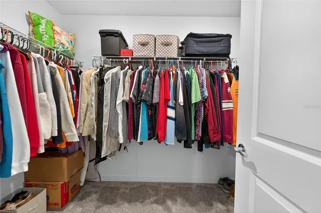 a bedroom with furniture and a fan