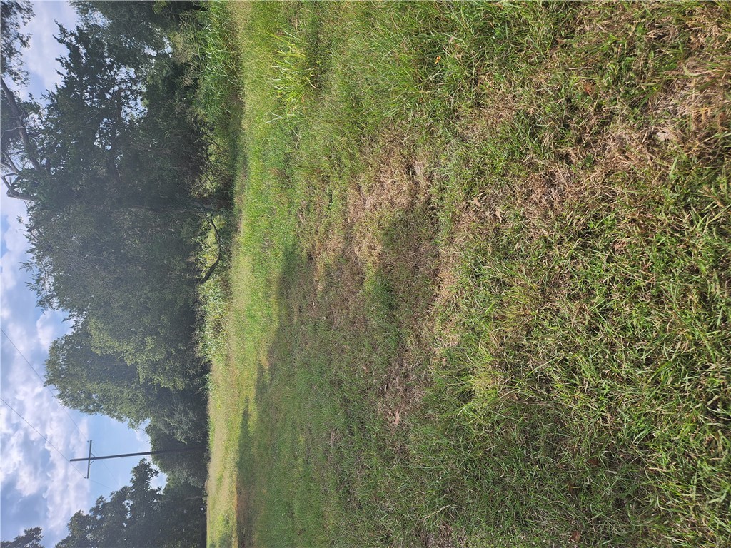 a view of outdoor space and yard