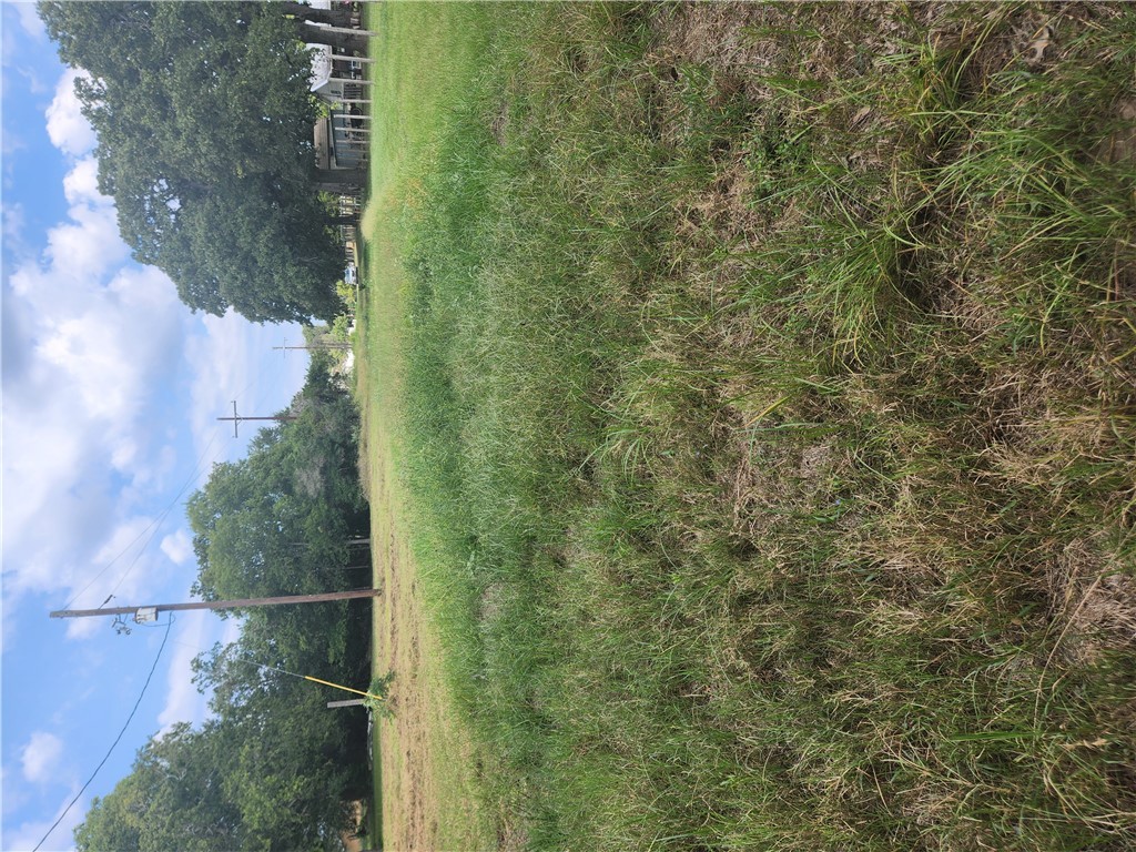 279 1st Street Somerville, TX 77879 - Photo 4 of 9 a view of a field of a house