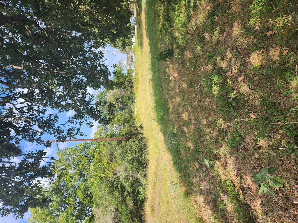 279 1st Street Somerville, TX 77879 - Photo 5 of 9 a view of yard with green space