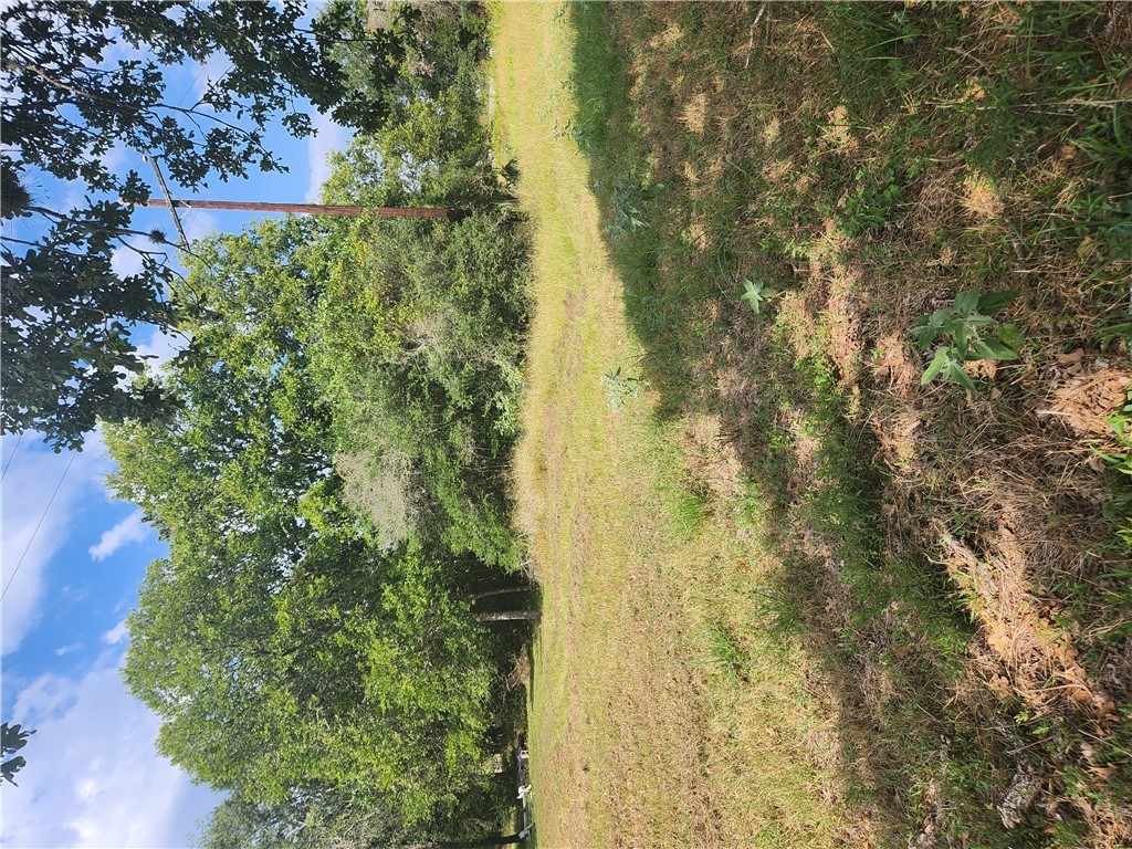 279 1st Street Somerville, TX 77879 - Photo 7 of 9 a view of an ocean