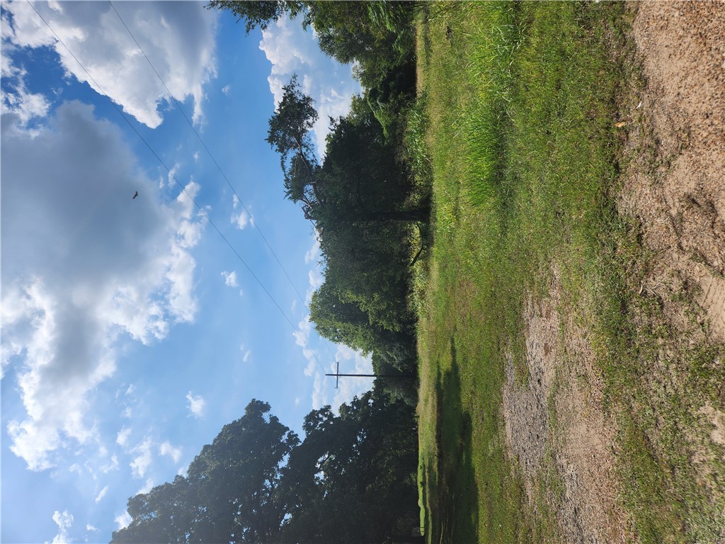 279 1st Street Somerville, TX 77879 - Photo 8 of 9 a view of an outdoor space and yard