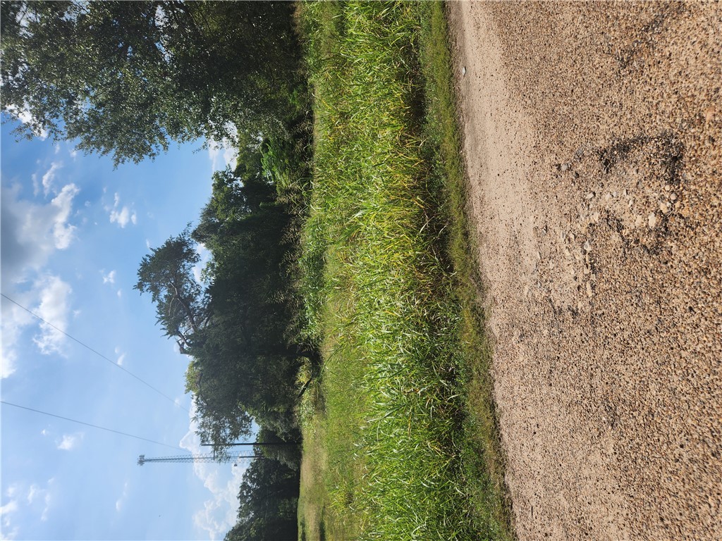 279 1st Street Somerville, TX 77879 - Photo 9 of 9 a view of a yard with a tree