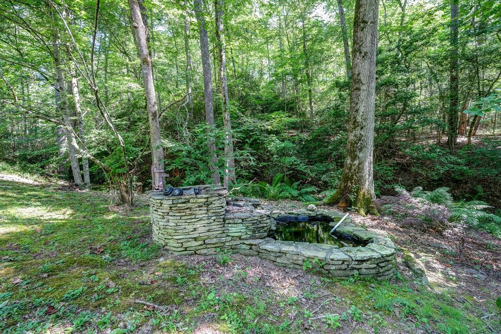 2785 Sunny Point Road Murphy, NC 28906 - Photo 29 of 43