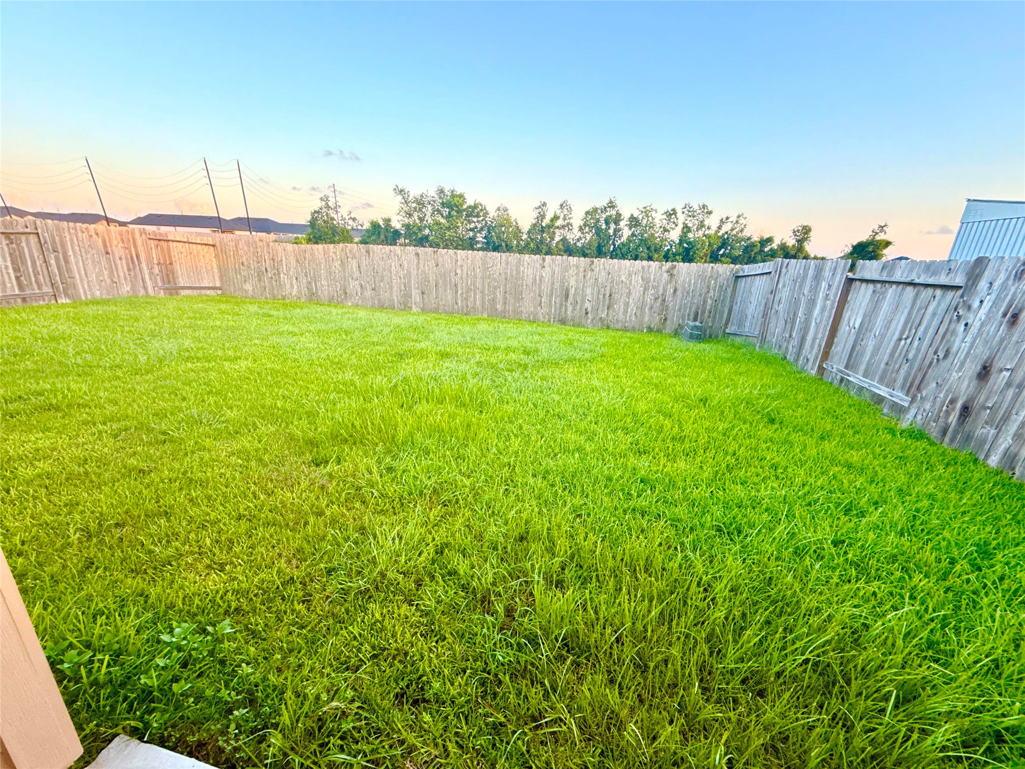 846 Autumn Flats Way Rosharon, TX 77583 - Photo 25 of 27 Expansive Backyard
