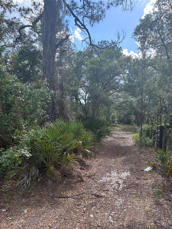 16464 Northeast 35th Avenue Road Citra, FL 32113 - Photo 2 of 6