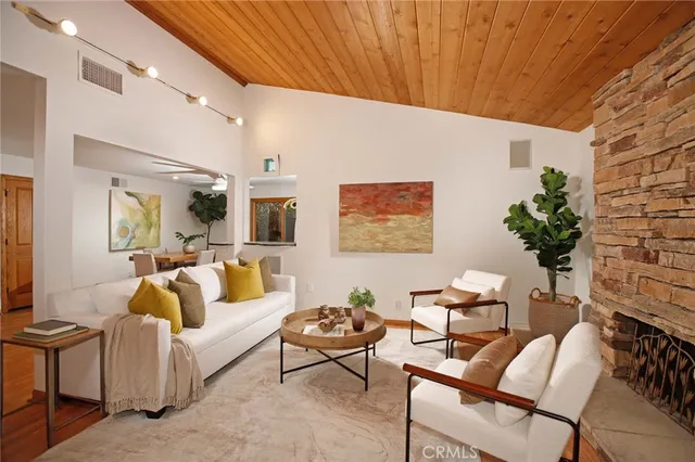 a living room with furniture flowerpot and a potted plant