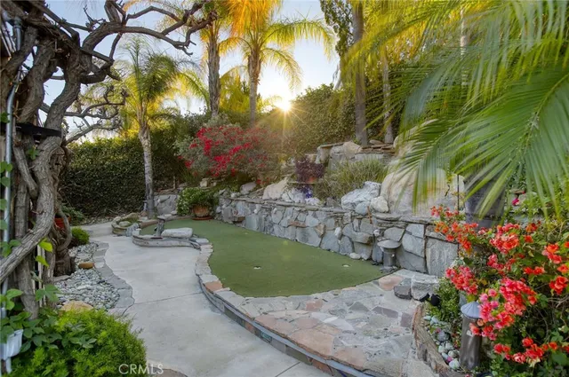 a view of a park with plants