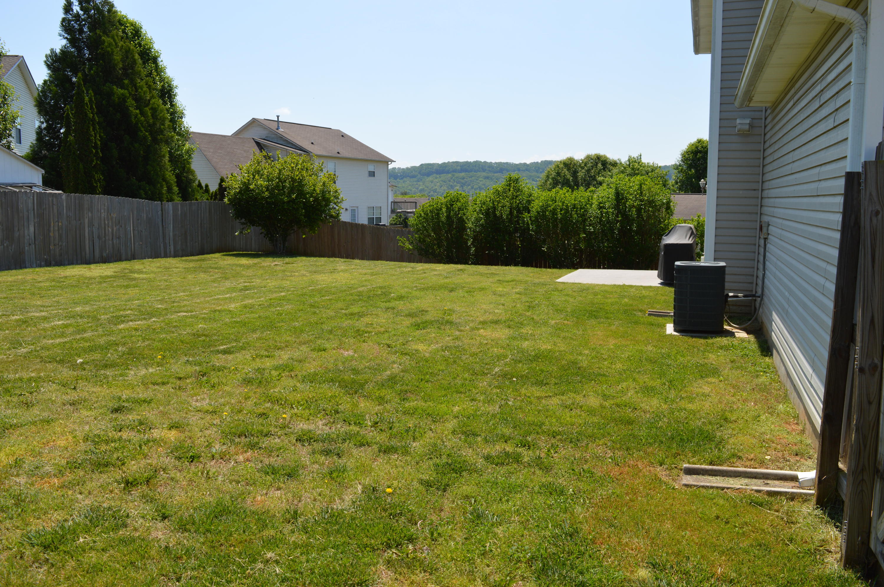 7816 Dawnview Road Powell, TN 37849 - Photo 6 of 26 Level back yard
