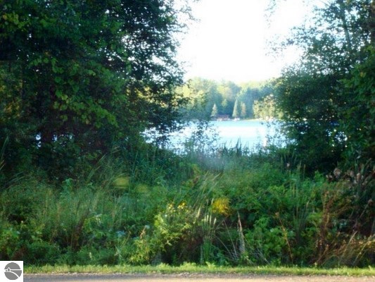 4841 West Stevenson Lake Road Lake, MI 48632 - Photo 26 of 27 1778148-25.JPG