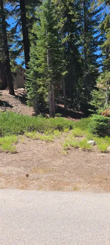 a view of a yard with plants
