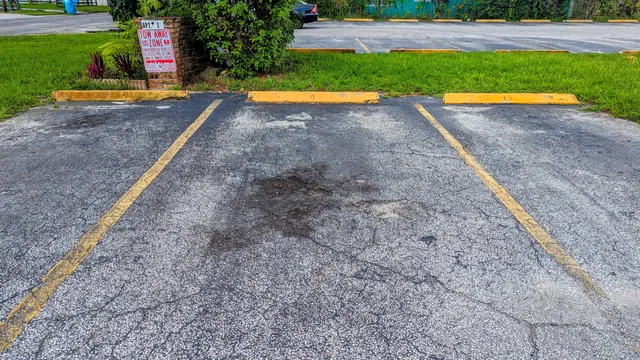 a view of a park with slide