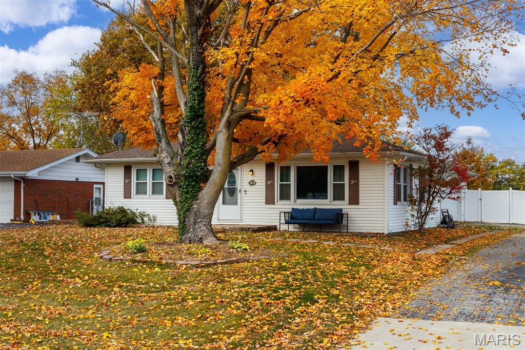 123 Lowell Court Shiloh, IL 62269 - Photo 5 of 43