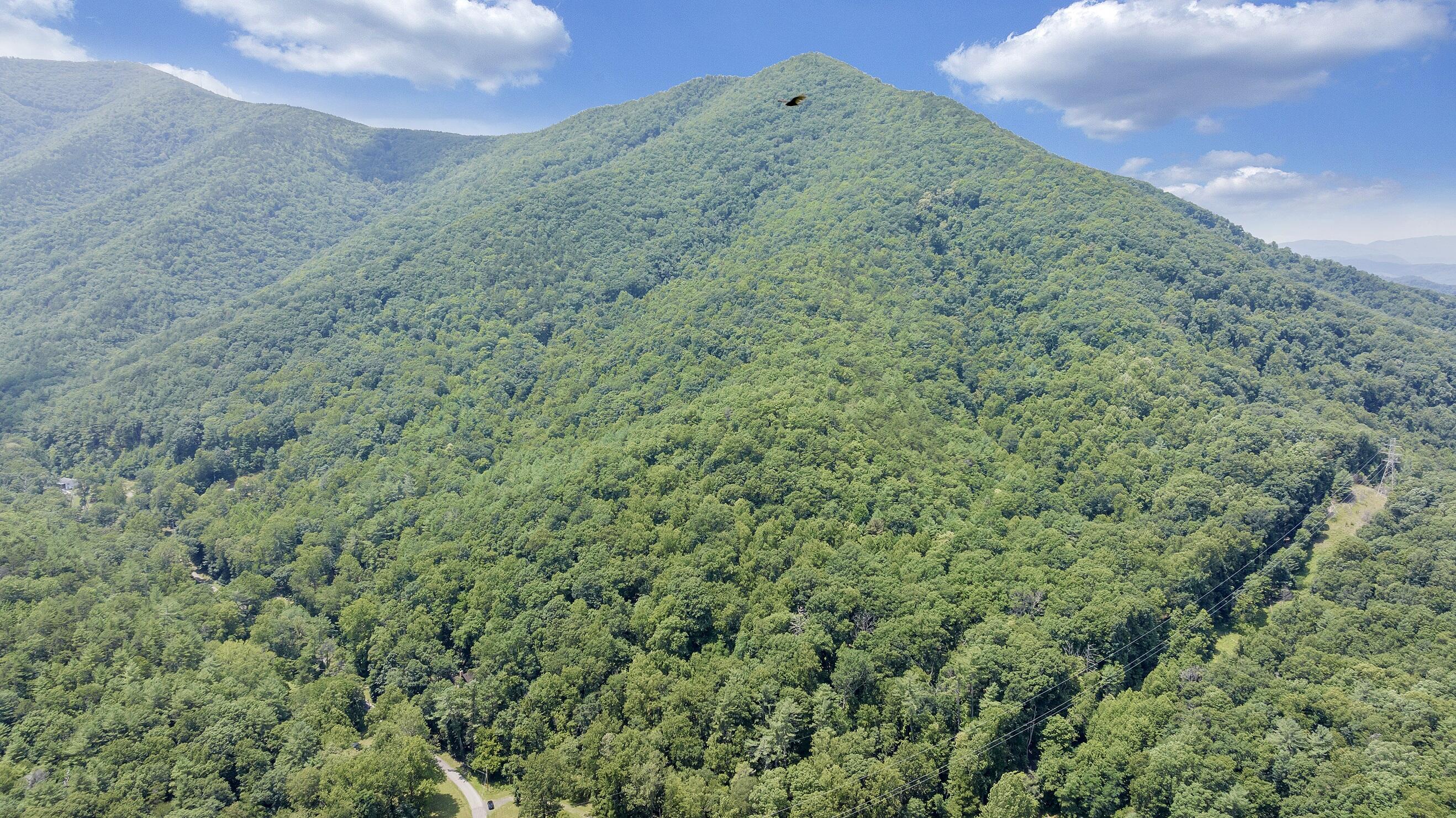 6133 Poor Mountain Road Salem, VA 24153 - Photo 11 of 19 a view of a big yard with lots of green space and mountain view