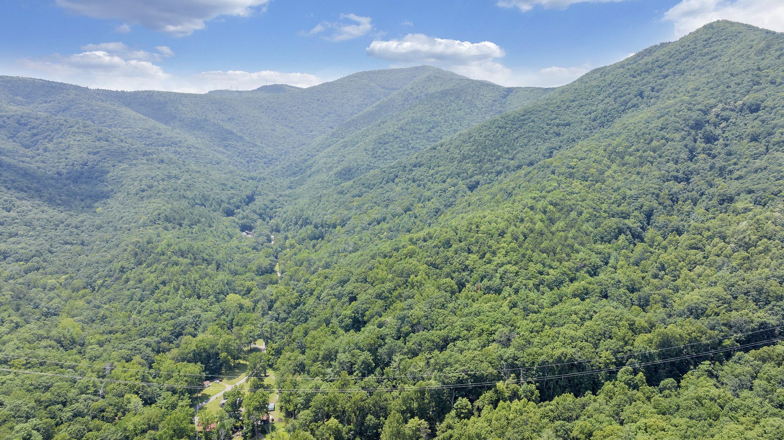6133 Poor Mountain Road Salem, VA 24153 - Photo 12 of 19 a view of a dry yard with mountains in the background