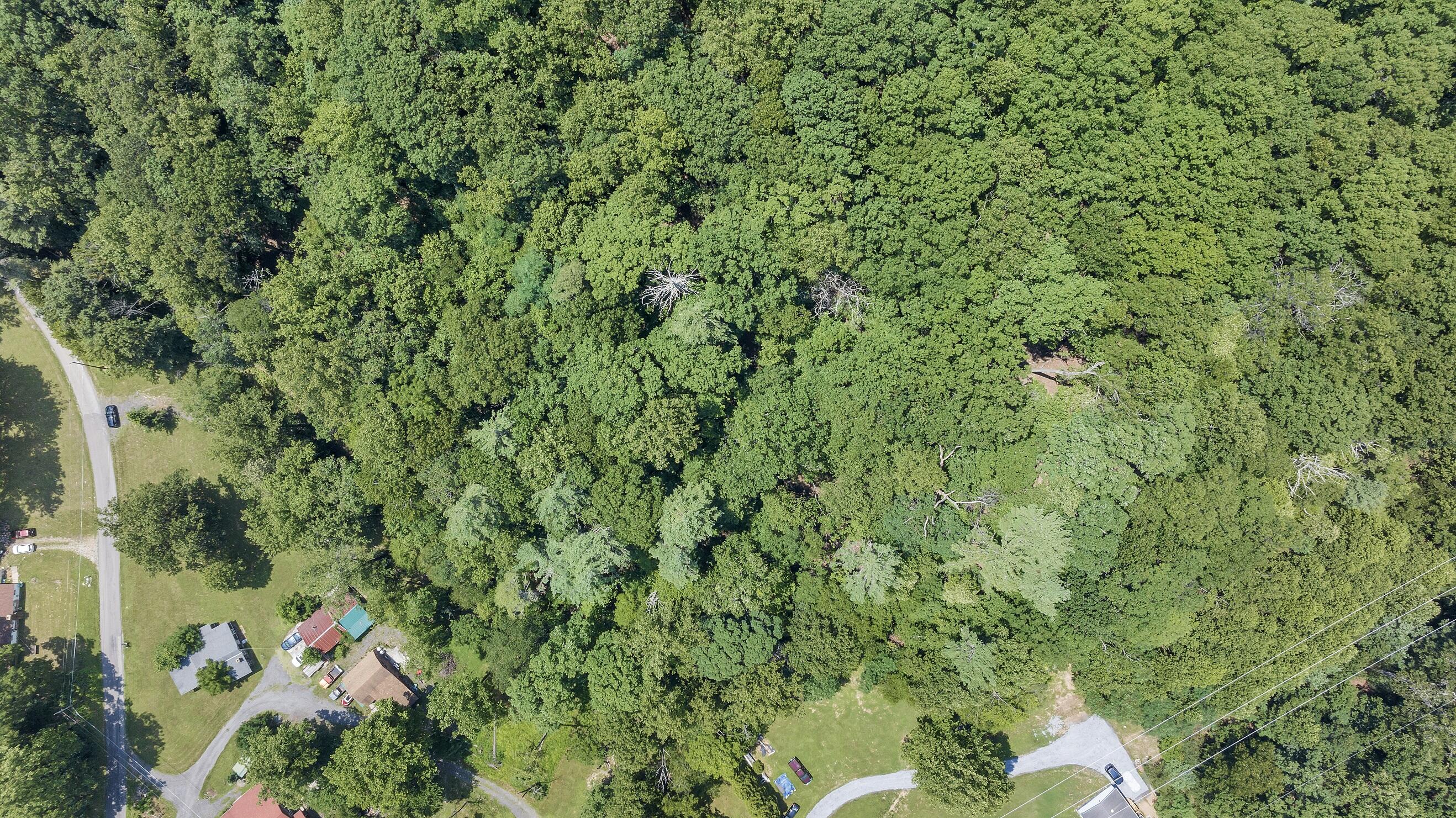 6133 Poor Mountain Road Salem, VA 24153 - Photo 14 of 19 a backyard of a house with lots of green space and a forest
