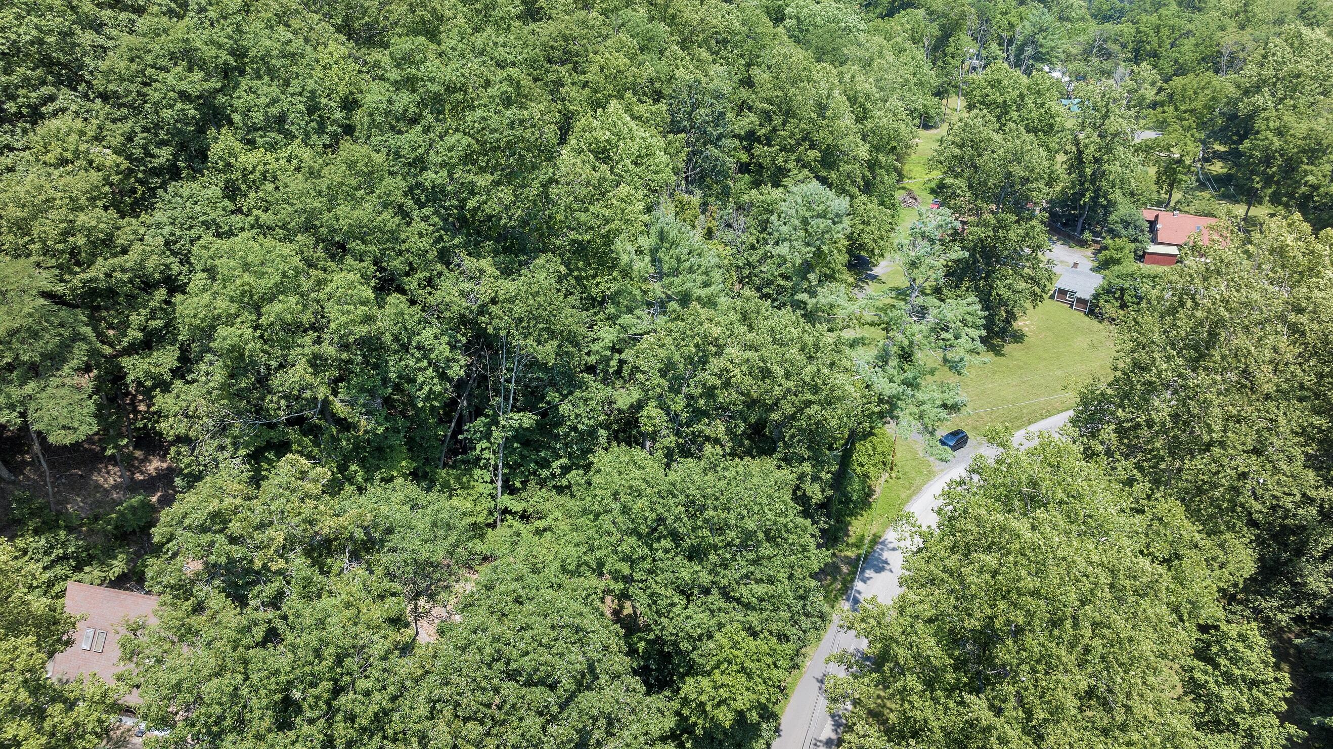 6133 Poor Mountain Road Salem, VA 24153 - Photo 17 of 19 an aerial view of a house with a tree