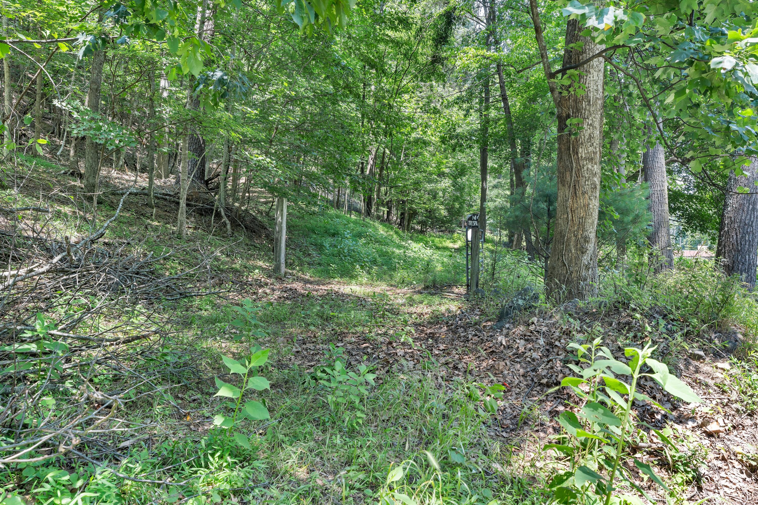 6133 Poor Mountain Road Salem, VA 24153 - Photo 4 of 19 a green field with lots of bushes