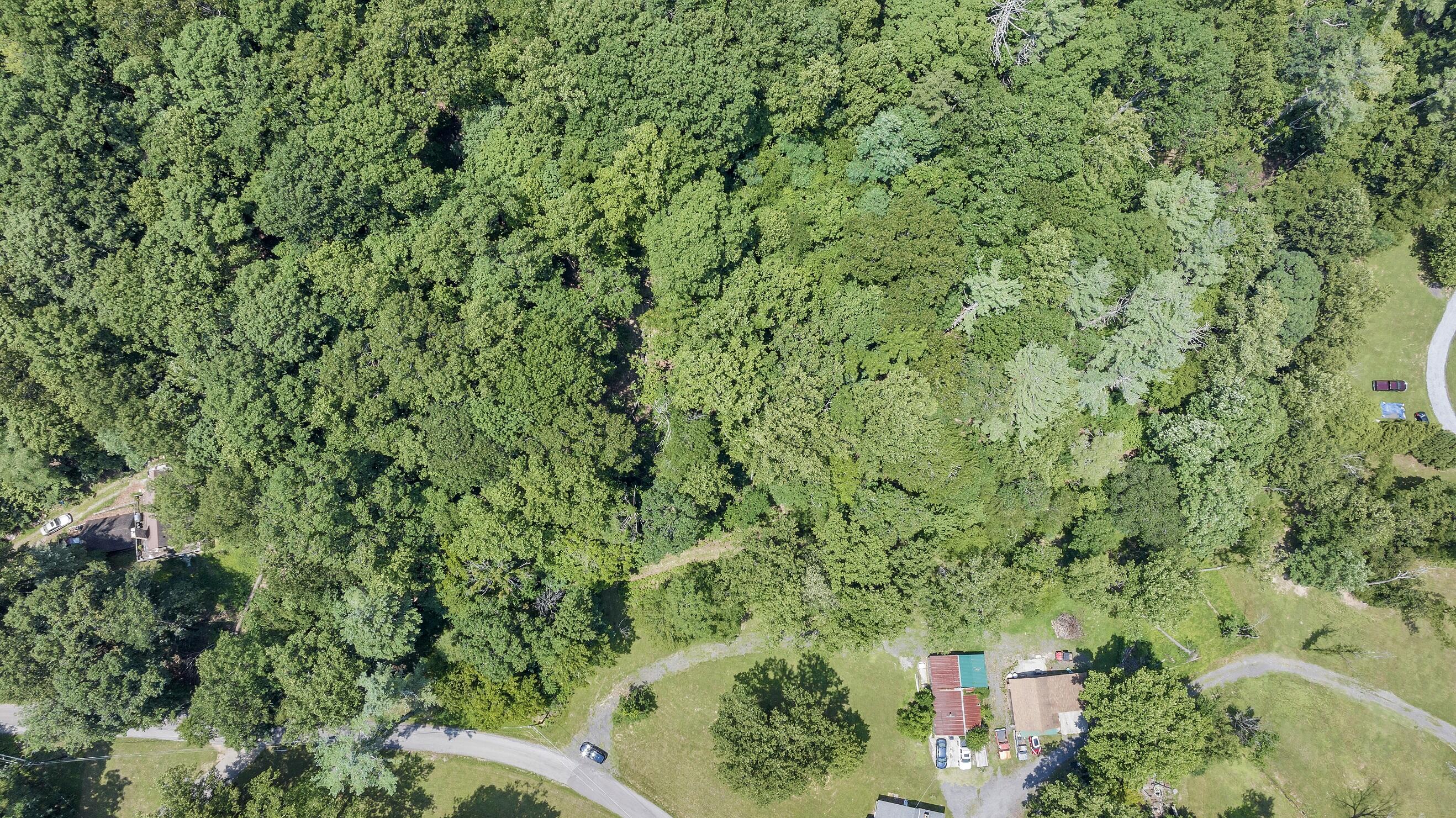 6133 Poor Mountain Road Salem, VA 24153 - Photo 8 of 19 an aerial view of a house with a yard
