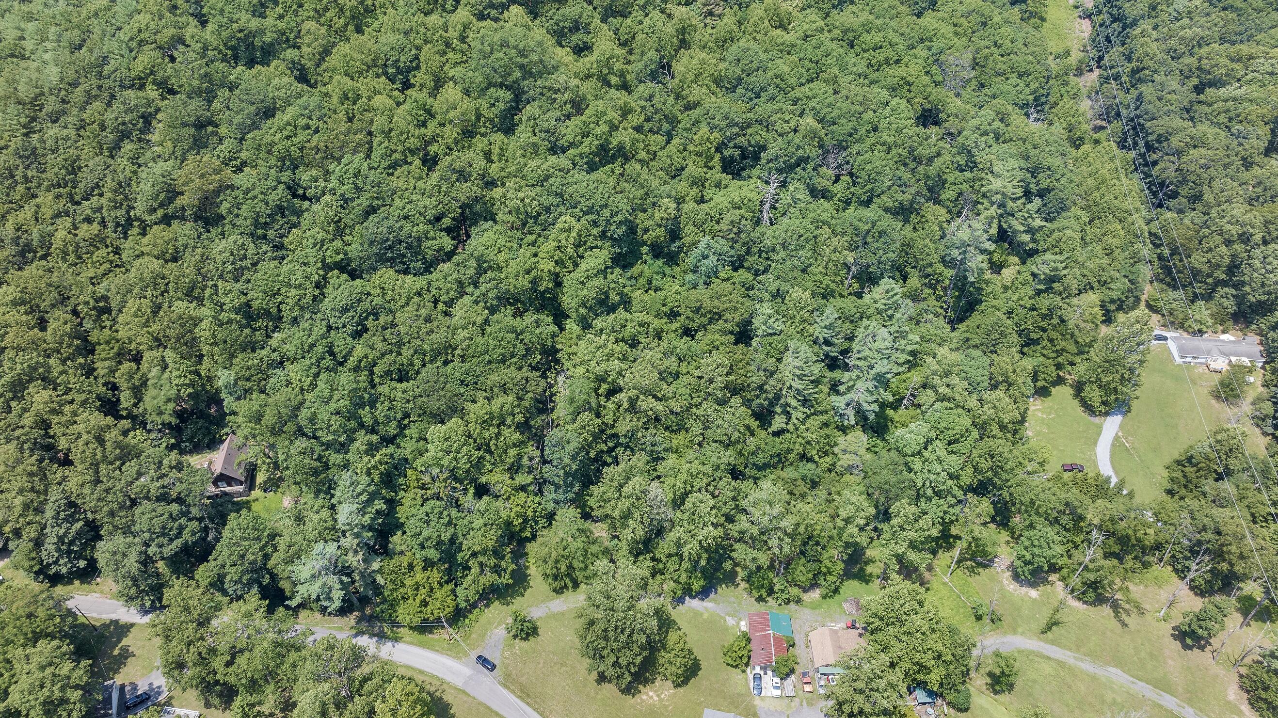 6133 Poor Mountain Road Salem, VA 24153 - Photo 9 of 19 an outdoor view of garden with lots of trees