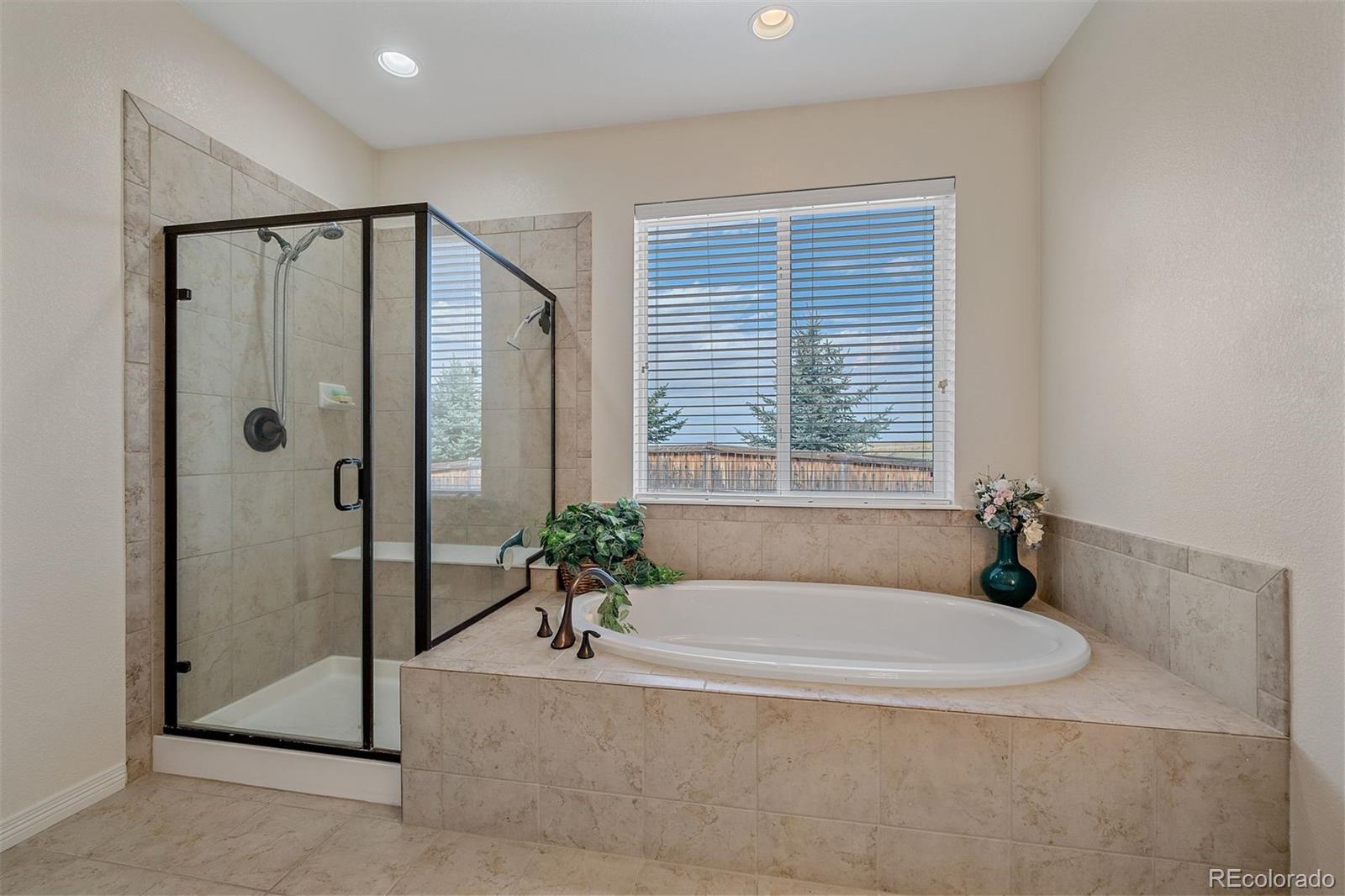 3217 Antelope Ridge Trail Parker, CO 80138 - Photo 17 of 45
