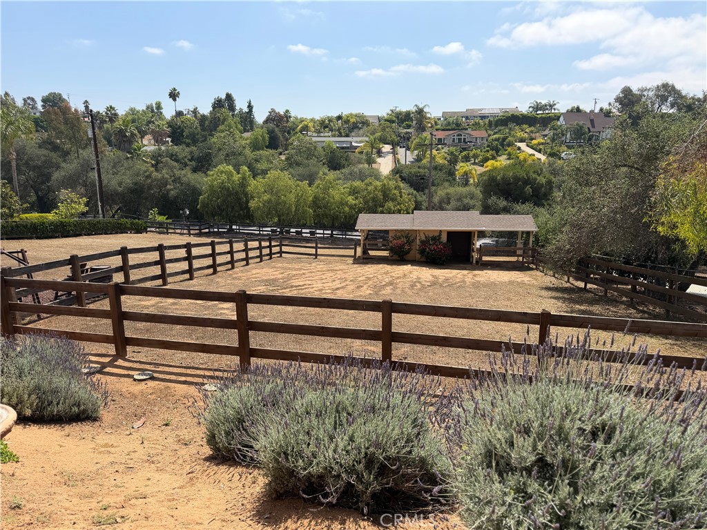 3839 Forbell Place Fallbrook, CA 92028 - Photo 14 of 98 Two large paddocks for your horses or 4-H animals